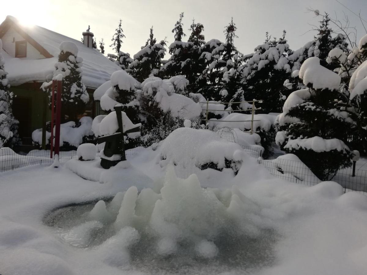 Noclegi I Restauracja Gracja Belchatow Bagian luar foto