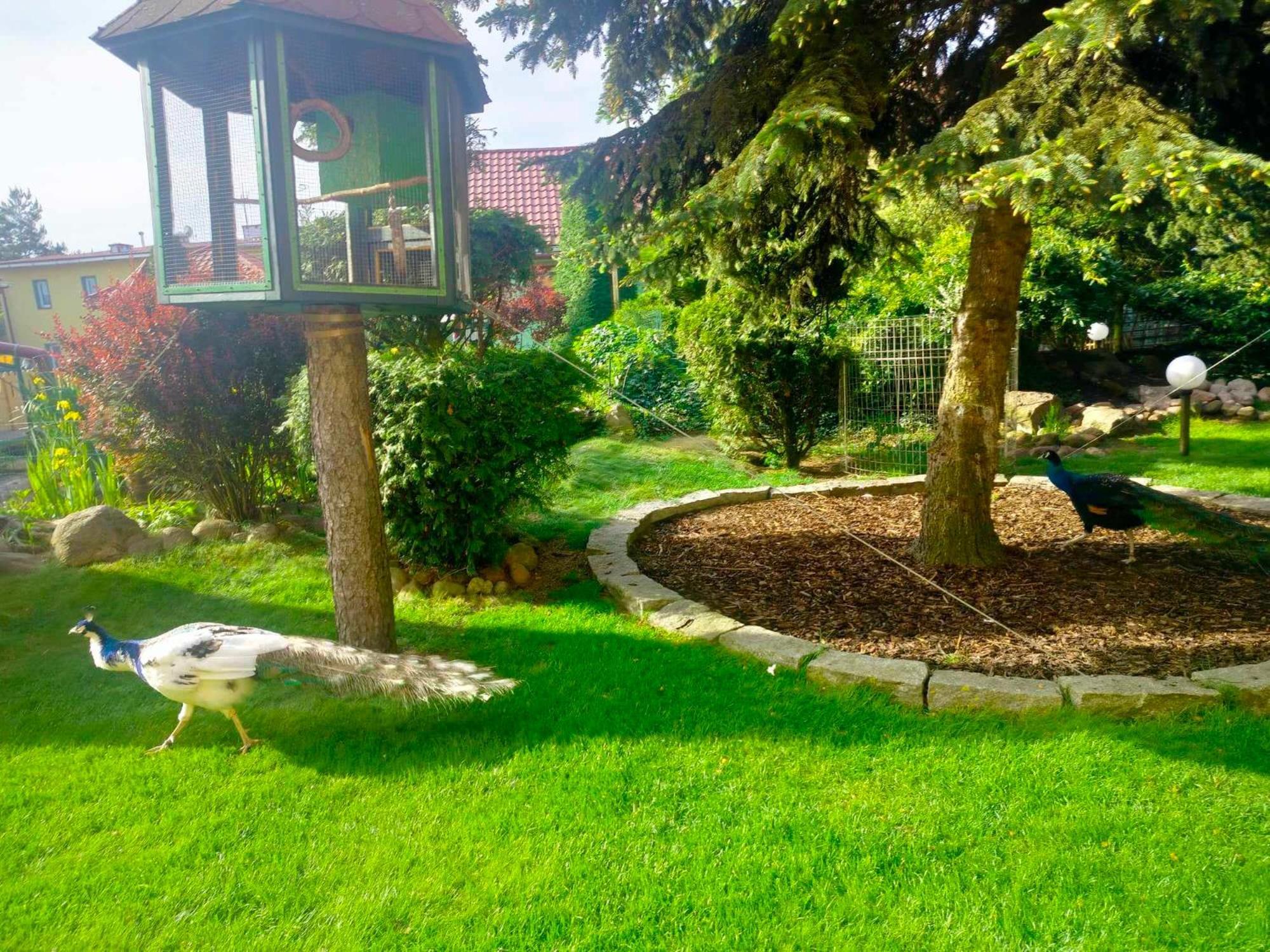 Noclegi I Restauracja Gracja Belchatow Bagian luar foto